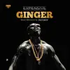 Expensive - Ginger - Single